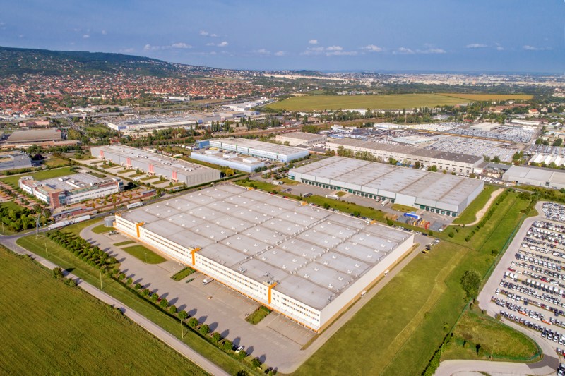 Camel-pharma-shark-2