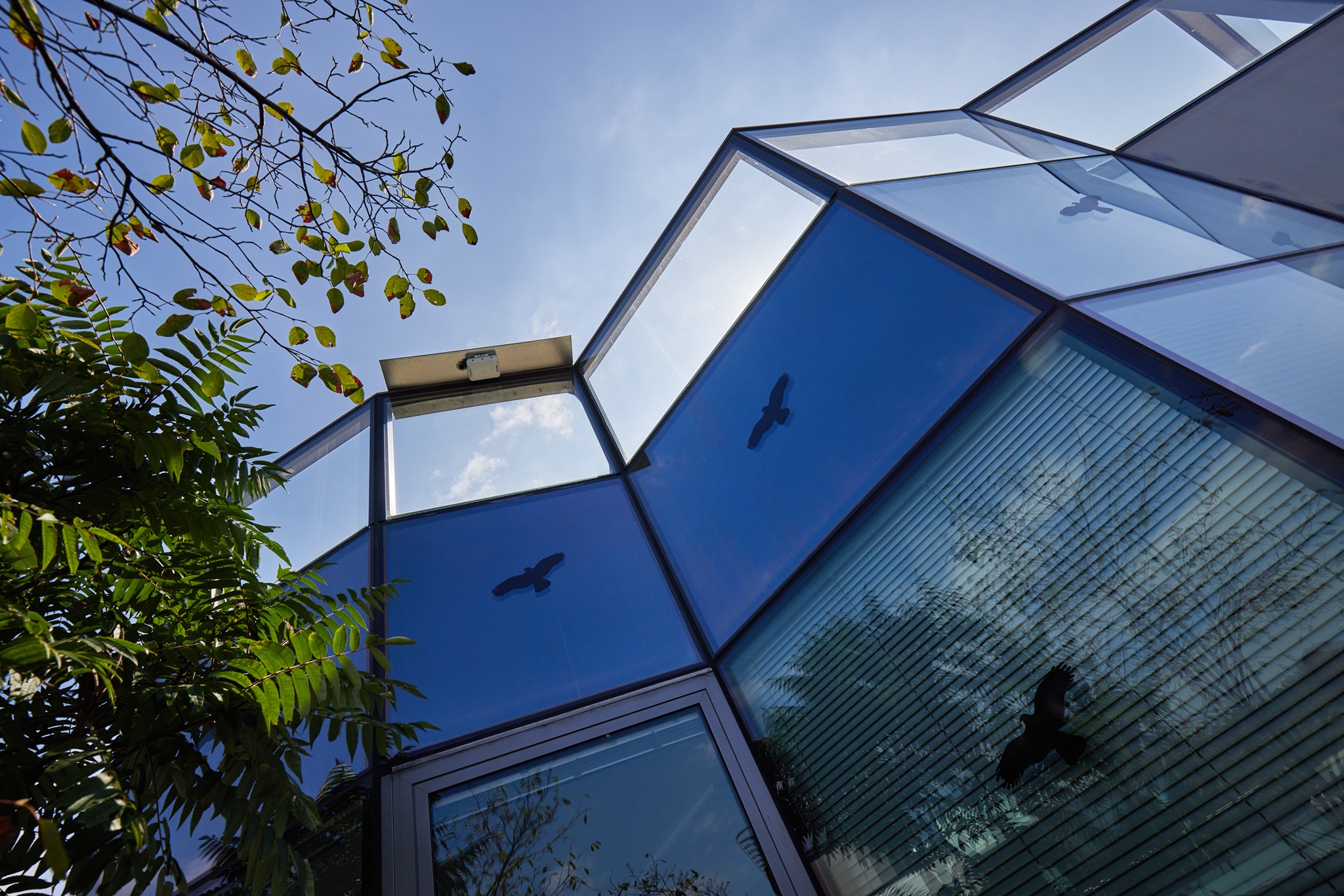 Ondrej-Vibes-Ande╠il-No16-2048px-00013