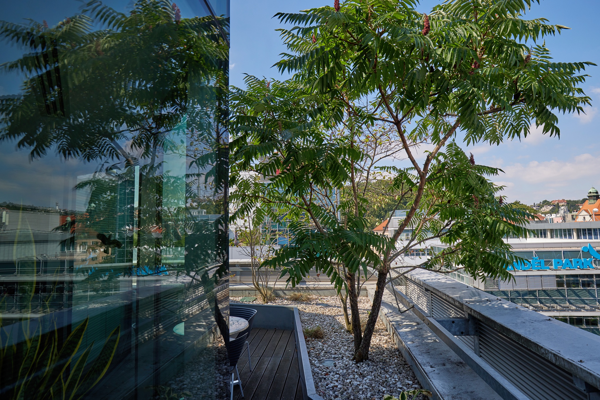 Ondrej-Vibes-Ande╠il-No16-2048px-00020