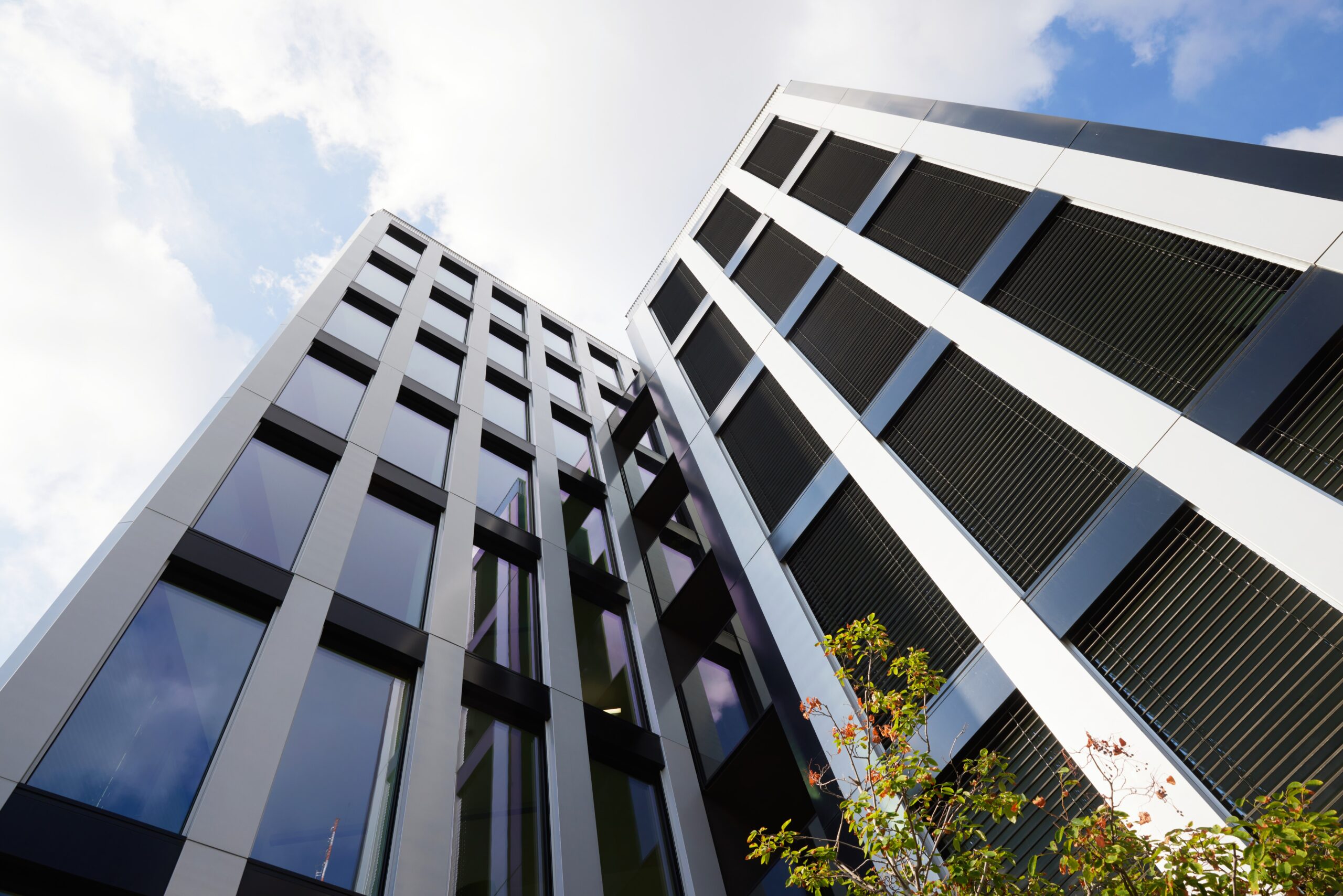 ONVI-Element-fullres-00008-scaled