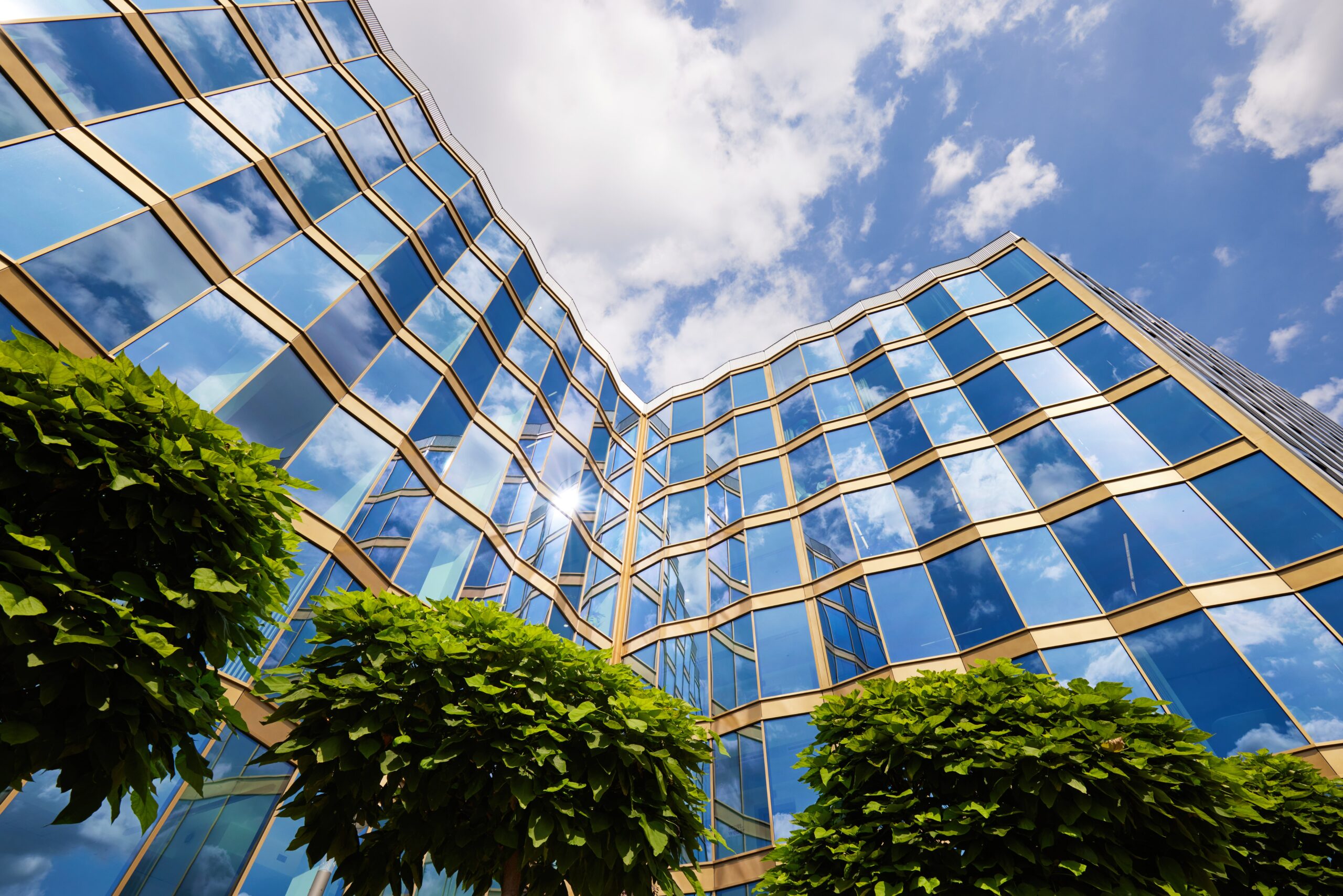 ONVI-Element-fullres-00024-scaled