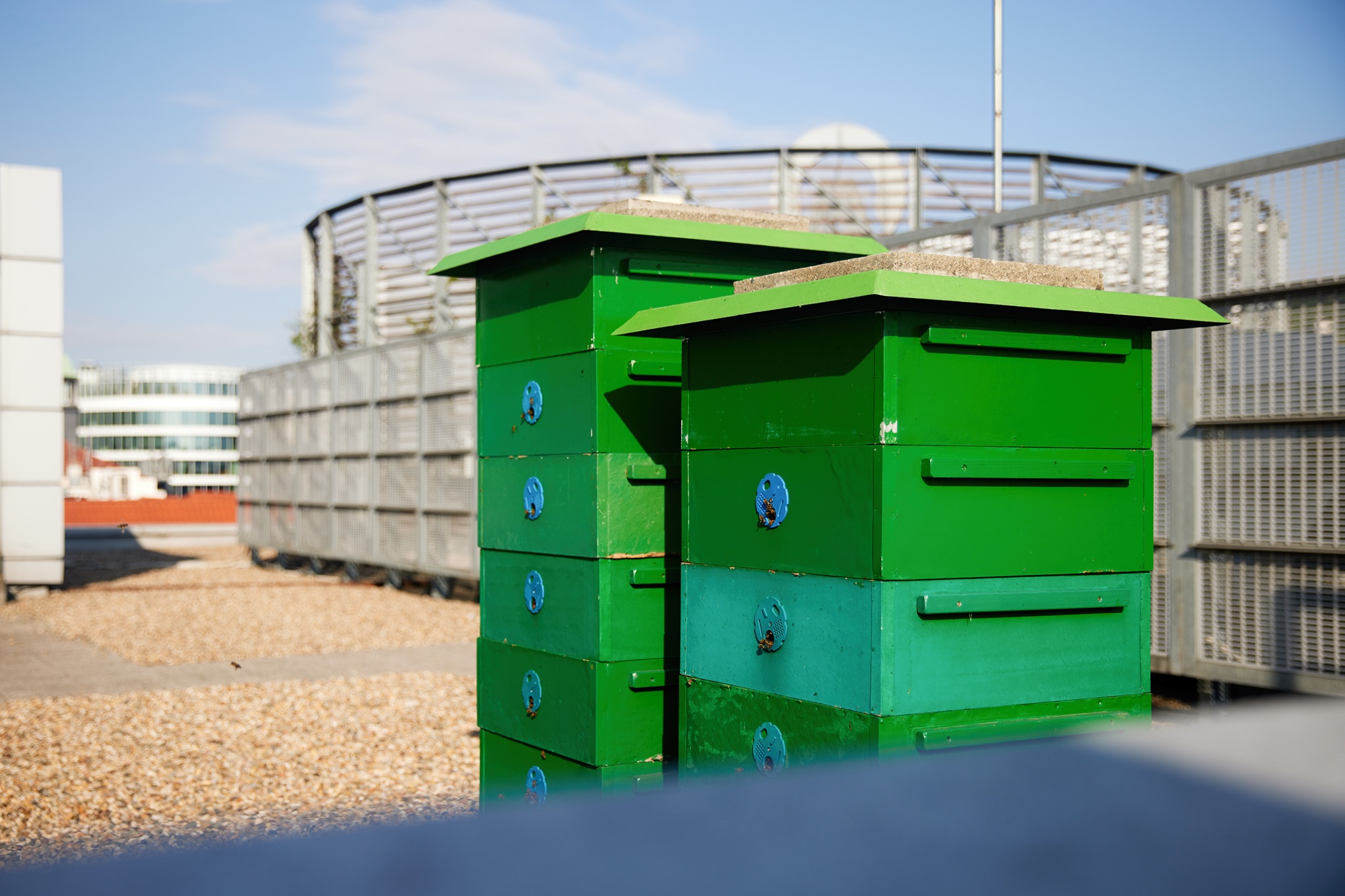 Ondrej-Vibes-Pala╠uc-Ande╠il-2048px-00020